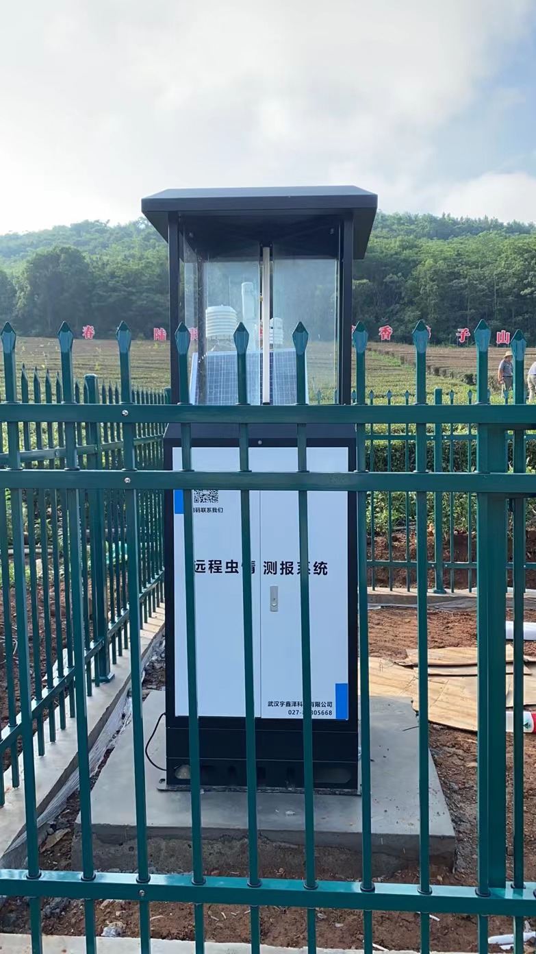 2022年6月天門生態(tài)茶園蟲情監(jiān)測項目